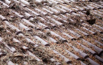 Hinton Parva roof cleaning companies