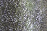 Hinton Parva fibreglass roof work